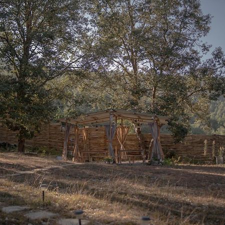 Nayalap - Rural Himalayan Glamping Hotell Shitlakhet Exteriör bild