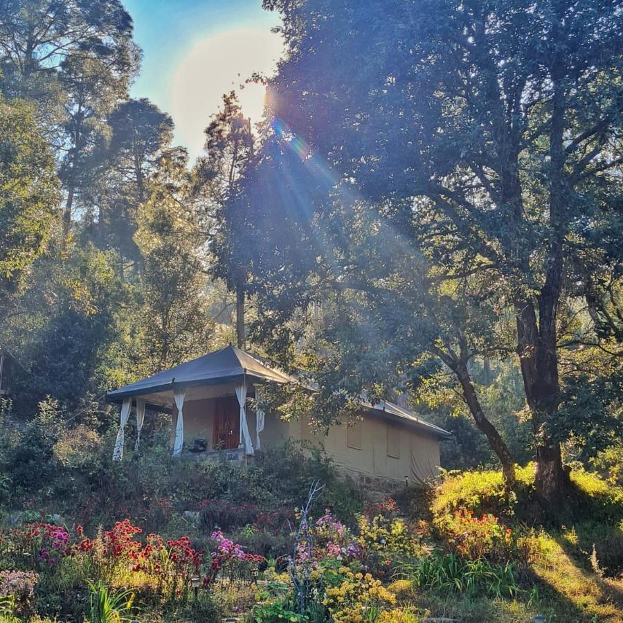 Nayalap - Rural Himalayan Glamping Hotell Shitlakhet Exteriör bild