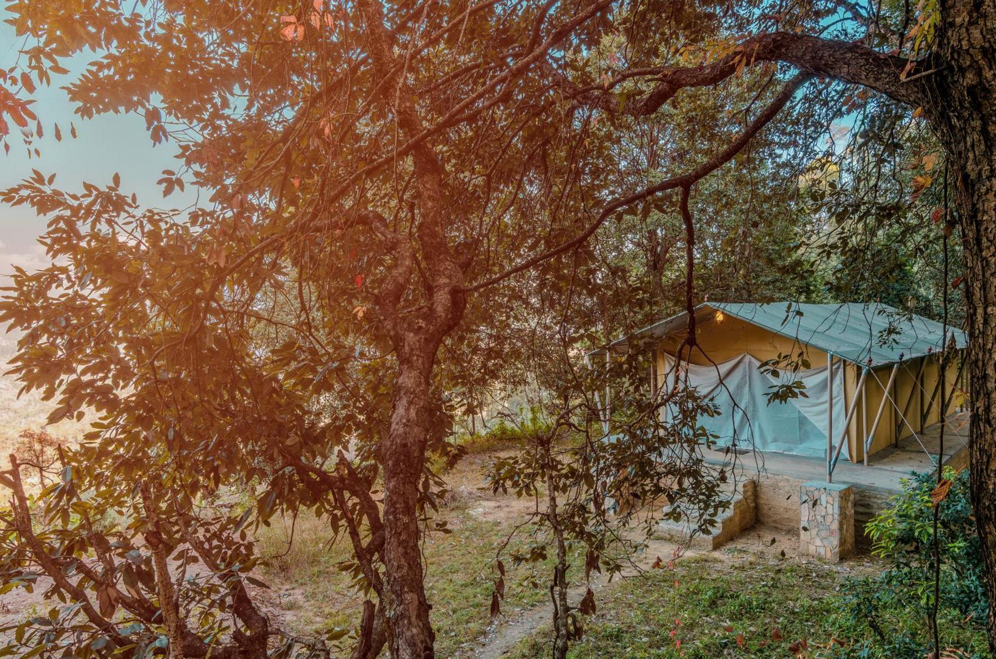 Nayalap - Rural Himalayan Glamping Hotell Shitlakhet Exteriör bild