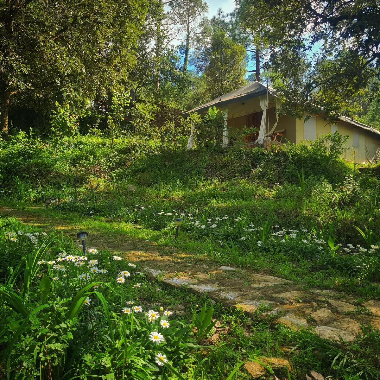 Nayalap - Rural Himalayan Glamping Hotell Shitlakhet Exteriör bild
